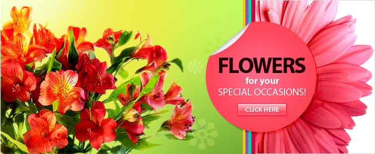 Flowers for your Special Occasions