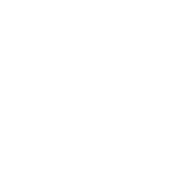 داماس فلاور